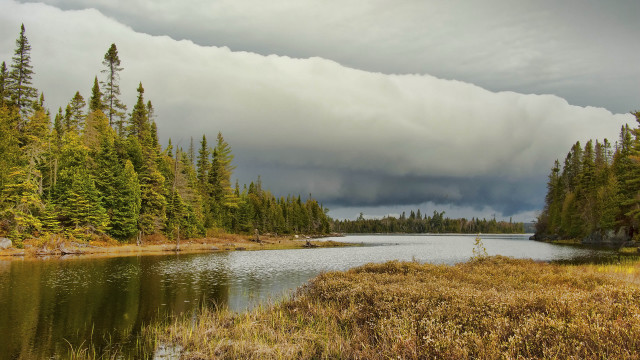 Lake forest grass cloudy sky free wallpaper - medium preview image