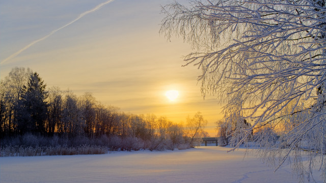 Snowy field trees bench sunset free wallpaper - medium preview image