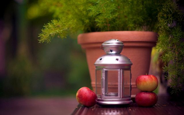 Candle apples potted plant still free wallpaper - medium preview image