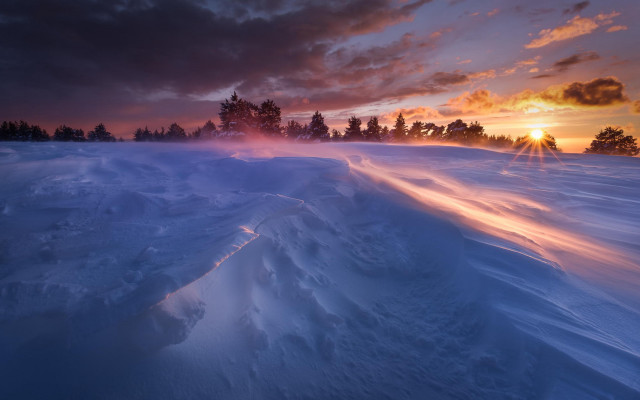 Sunset snow covered field trees #2 free wallpaper - medium preview image