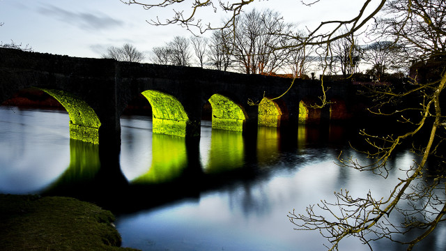 Bridge water trees branches cherry free wallpaper - medium preview image