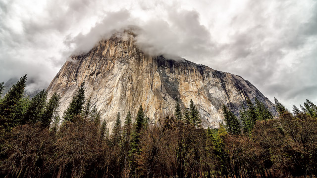 Mountain forest cloudy sky nature free wallpaper - medium preview image
