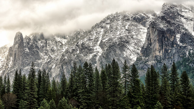 Snowy mountain forest trees clouds free wallpaper for desktop - medium preview image