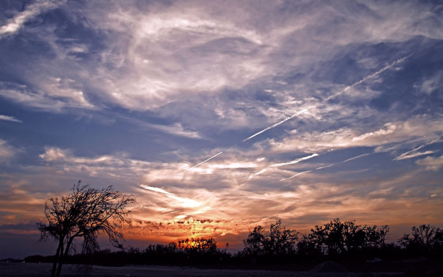 Sunset plane clouds trees beach free wallpaper - medium preview image