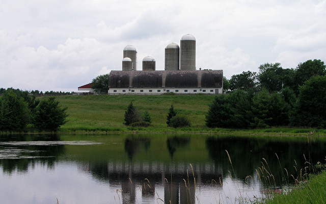 Farm pond silo barn trees free wallpaper - medium preview image