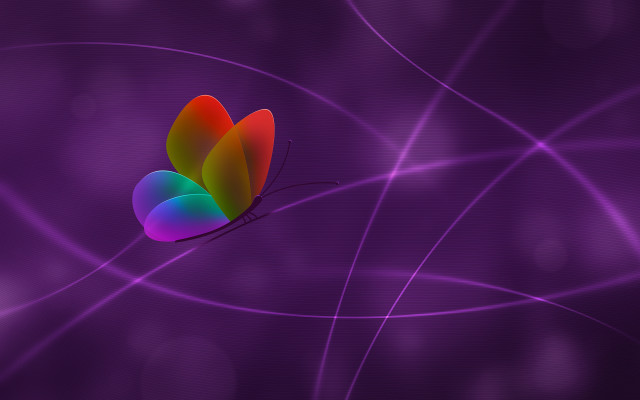 Colorful butterfly purple lines dots free wallpaper - medium preview image