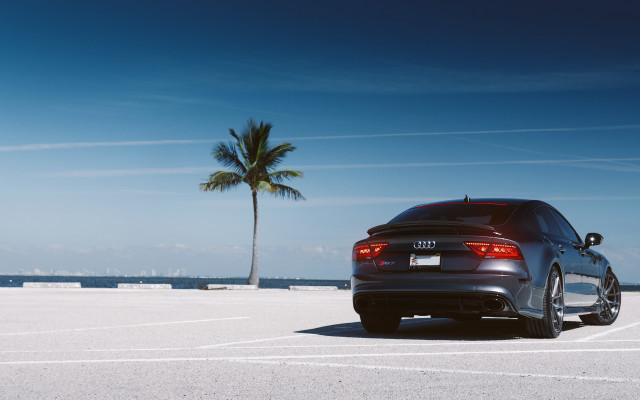Car palm ocean beach tilt free wallpaper - medium preview image