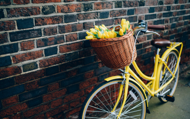 Yellow bicycle basket bananas brick free wallpaper - medium preview image