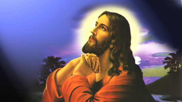 Jesus palm trees blue sky #3 free wallpaper - medium preview image