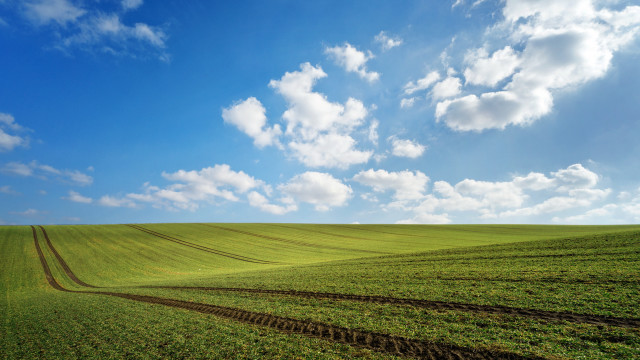 Large field dirt track blue free wallpaper - medium preview image