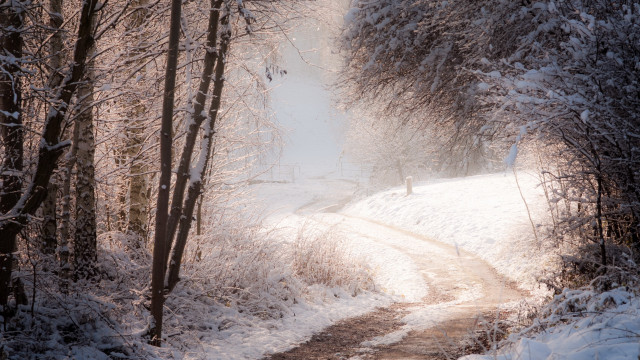 Snowy forest path person impressionist free wallpaper - medium preview image