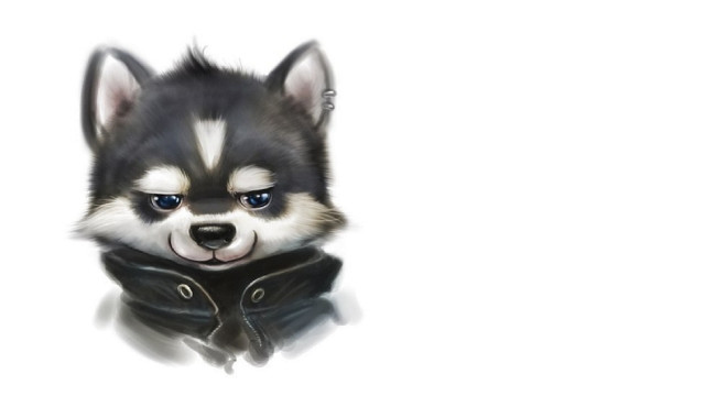 Husky leather jacket sad look free wallpaper - medium preview image