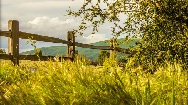 Wooden fence grassy field mountains #3 free wallpaper - medium preview image