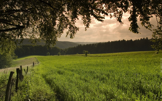 Sunset fence trees landscape nature free wallpaper - medium preview image