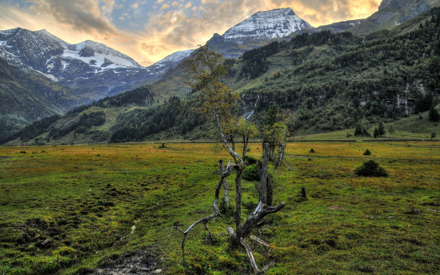 Tree field mountains clouds lake #2 free wallpaper - medium preview image