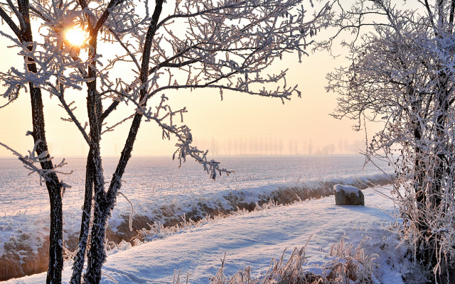 Snowy field hay bail fog free wallpaper - medium preview image