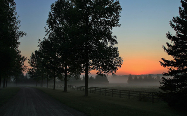 Dirt road trees fence sunset free wallpaper - medium preview image