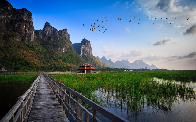 Wooden bridge red building birds #2 free wallpaper - medium preview image