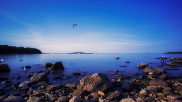 Bird water boat sky rocks free wallpaper - medium preview image