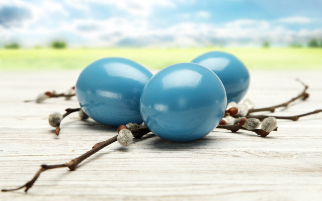 Three blue eggs wooden table free wallpaper - medium preview image