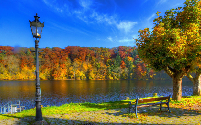 Park bench lamp post autumn free wallpaper - medium preview image