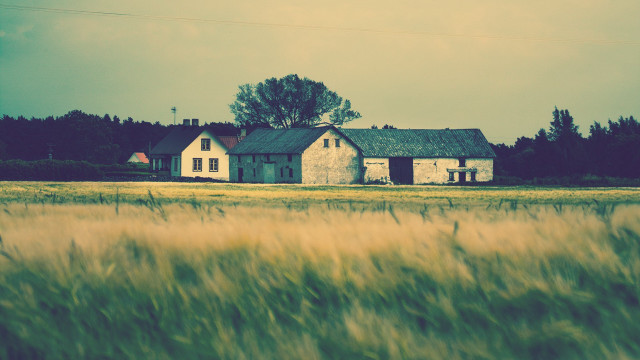 House field sky trees clouds free wallpaper - medium preview image