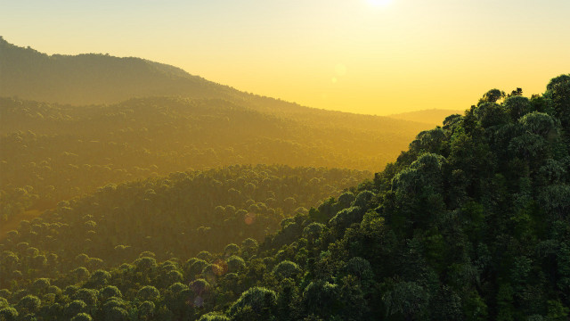 Mountain forest sunset volumetric lighting free wallpaper - medium preview image