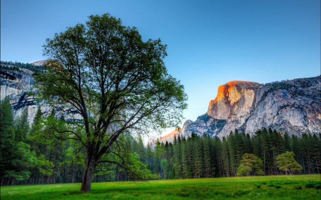 Tree field mountains blue sky #2 free wallpaper - medium preview image