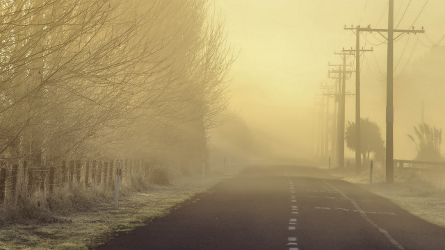 Foggy road telephone pole trees free wallpaper - medium preview image