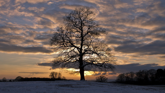Snowy field sunset cloudy sky free wallpaper - medium preview image