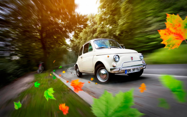 White car road trees autumn free wallpaper - medium preview image