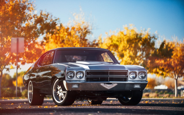 Car trees autumn leaves bokeh free wallpaper - medium preview image