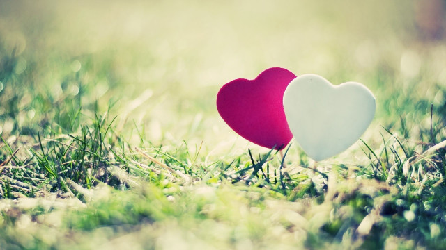 Two hearts grass sunlight sitting #2 free wallpaper - medium preview image