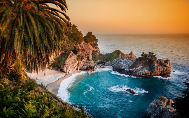 Beach palm tree waves sunset free wallpaper - medium preview image