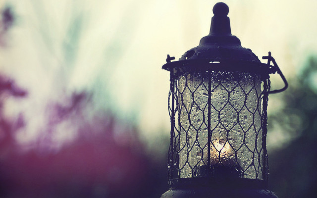 Light fixture closeup blurry trees free wallpaper - medium preview image