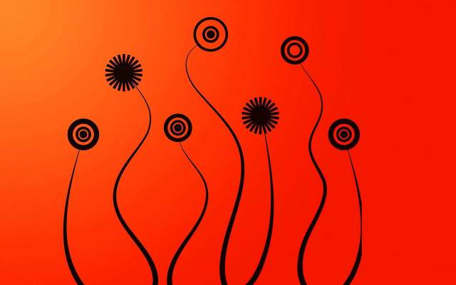 Red background black flowers black free wallpaper for desktop - medium preview image