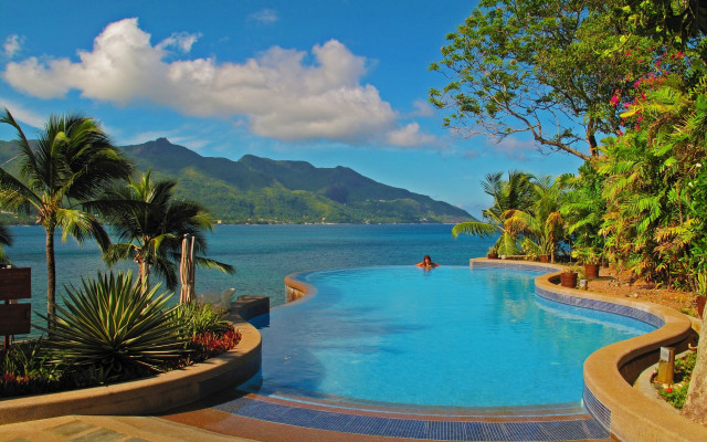 Large pool ocean mountains palm free wallpaper - medium preview image