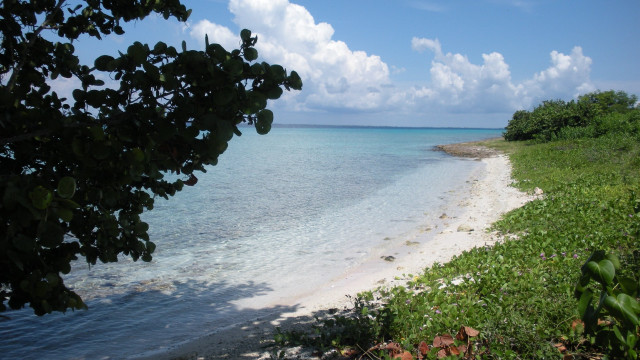 White sand blue water beach free wallpaper - medium preview image
