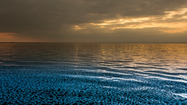 Bioluminescent ocean mountain sunset shore free wallpaper - medium preview image