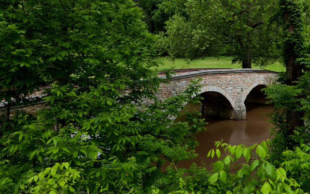 Stone bridge river park trees free wallpaper - medium preview image