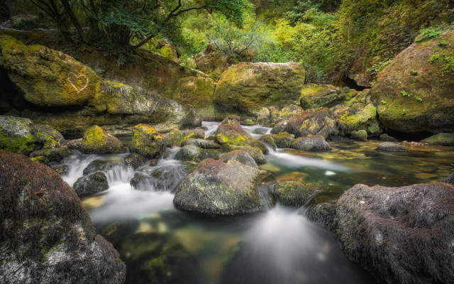 Forest stream water rocks mossy free wallpaper - medium preview image