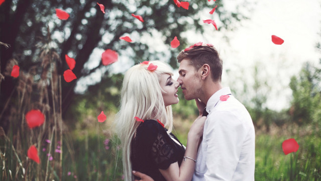 Romantic flower field kissing couple free wallpaper - medium preview image