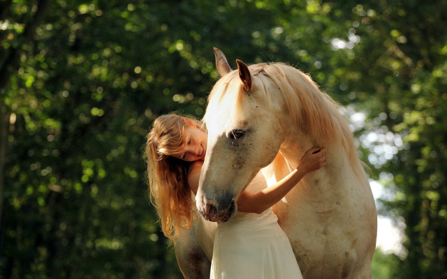 Woman hugging horse enchanting forest free wallpaper - medium preview image