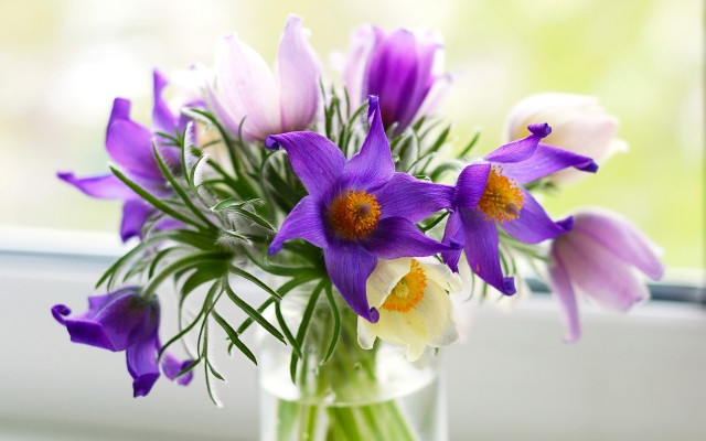 Vase purple white flowers window free wallpaper - medium preview image