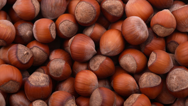 Nuts brown center tips pile free wallpaper - medium preview image