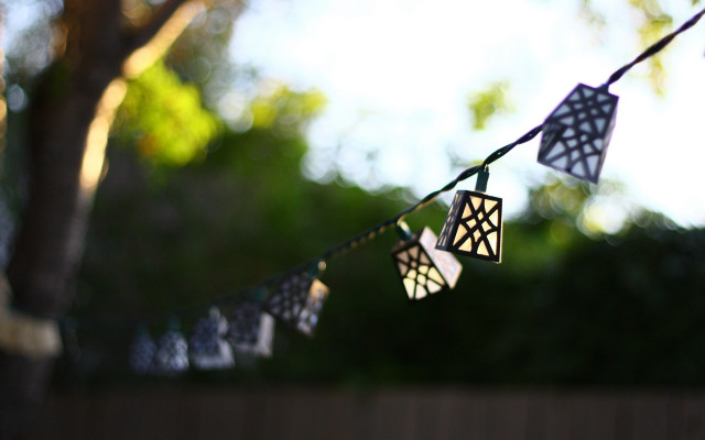Paper lanterns tree fence shallow free wallpaper - medium preview image