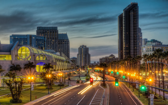 City street night palm trees free wallpaper - medium preview image