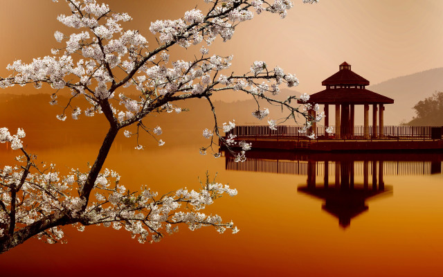 Pavilion lake flowers redsky autumn free wallpaper - medium preview image