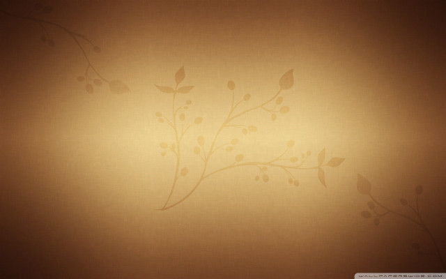 Wall plant light brown background free wallpaper - medium preview image