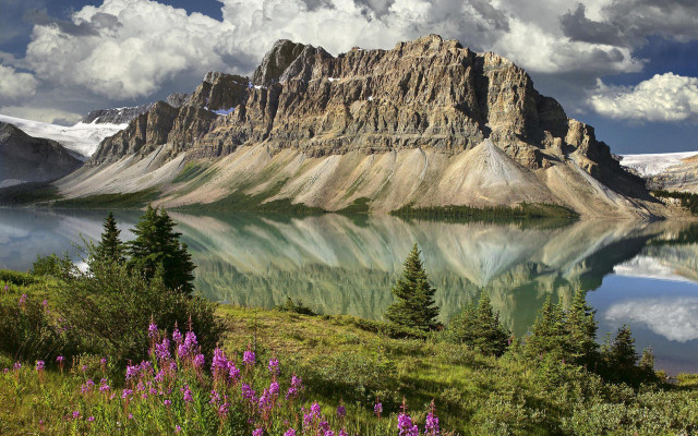 Mountain lake forest flower clouds free wallpaper - medium preview image